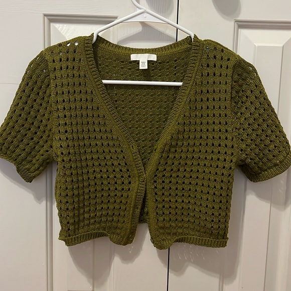 Olive green - Picture 1 of 2